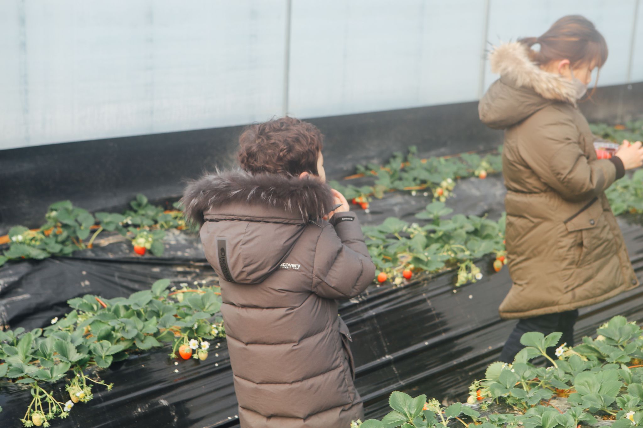 2021년1월16일 126