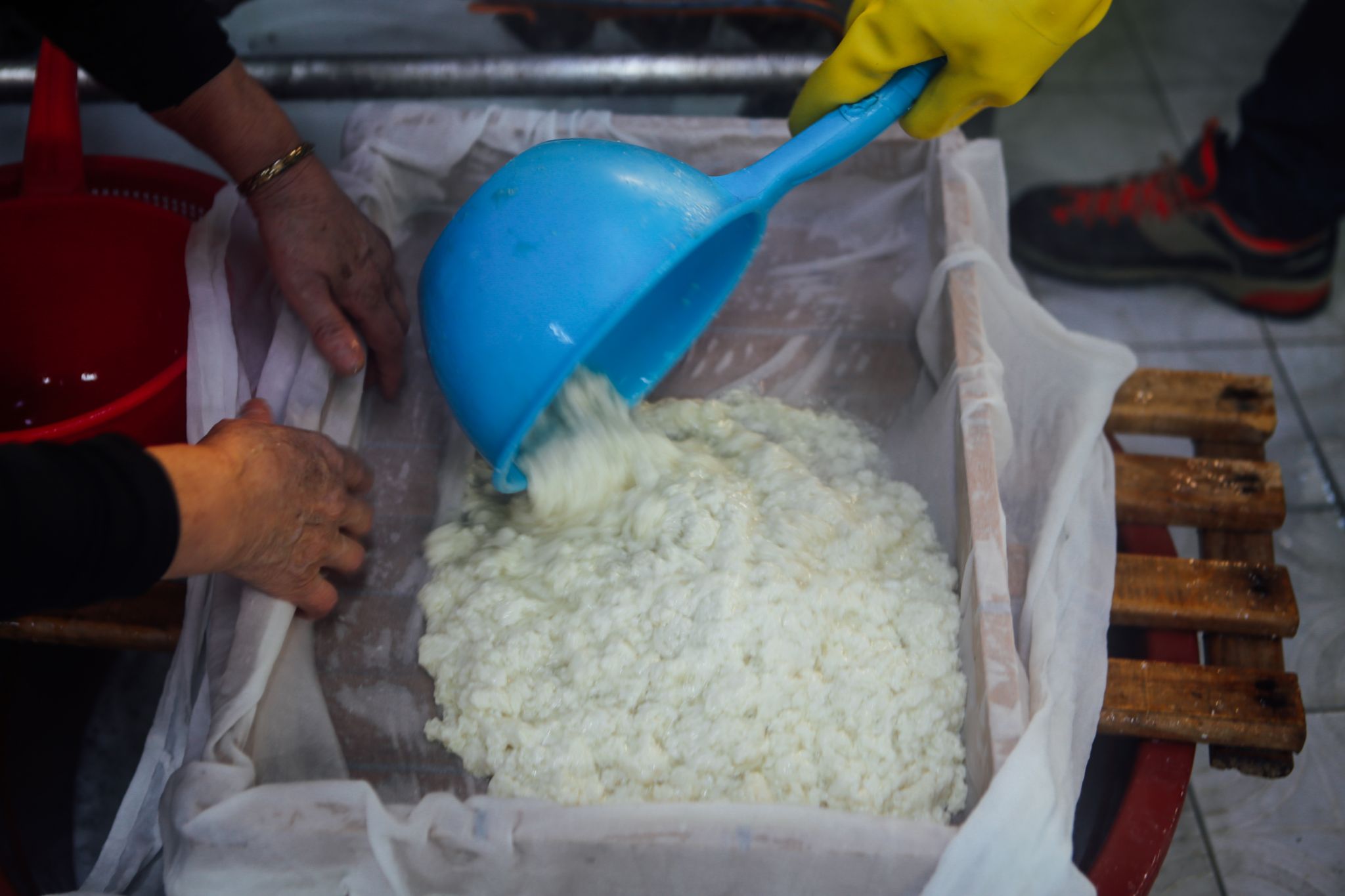 2021년1월16일 231