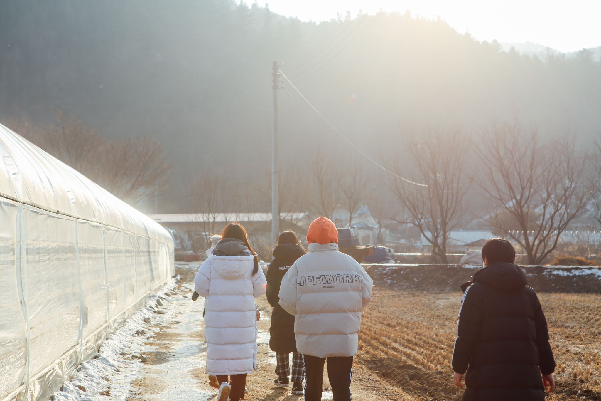 2021년1월16일 247