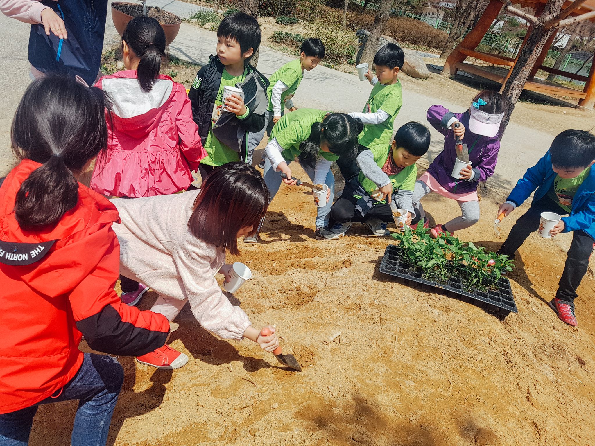 유기농화분 02