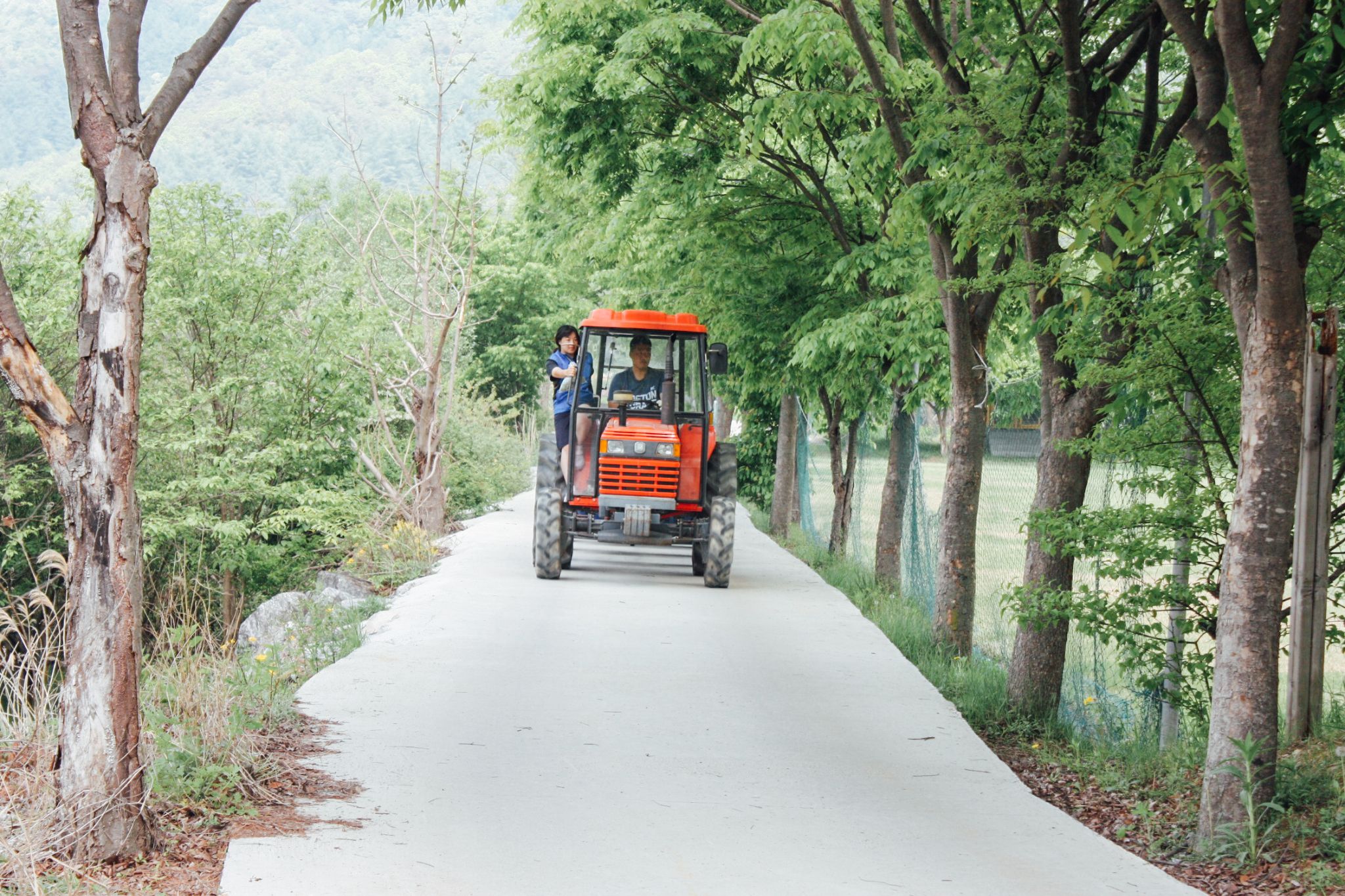 초등학교현장체험학습 01