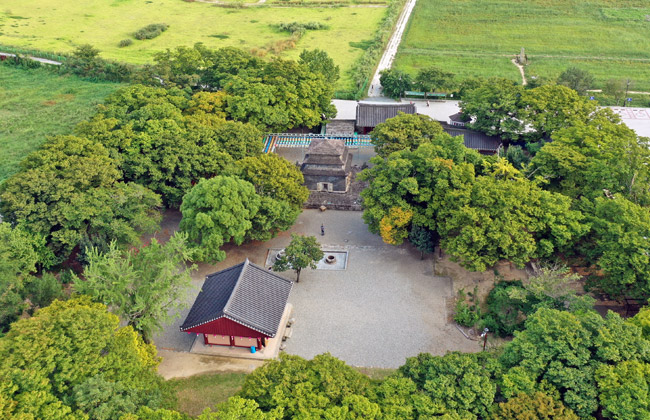 분황사1